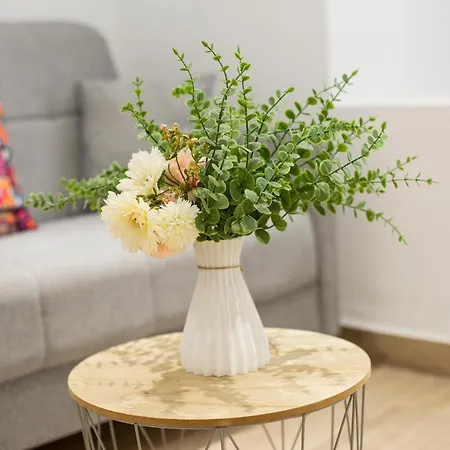 Apartment Wish Cervantes *